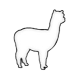 cat-icon